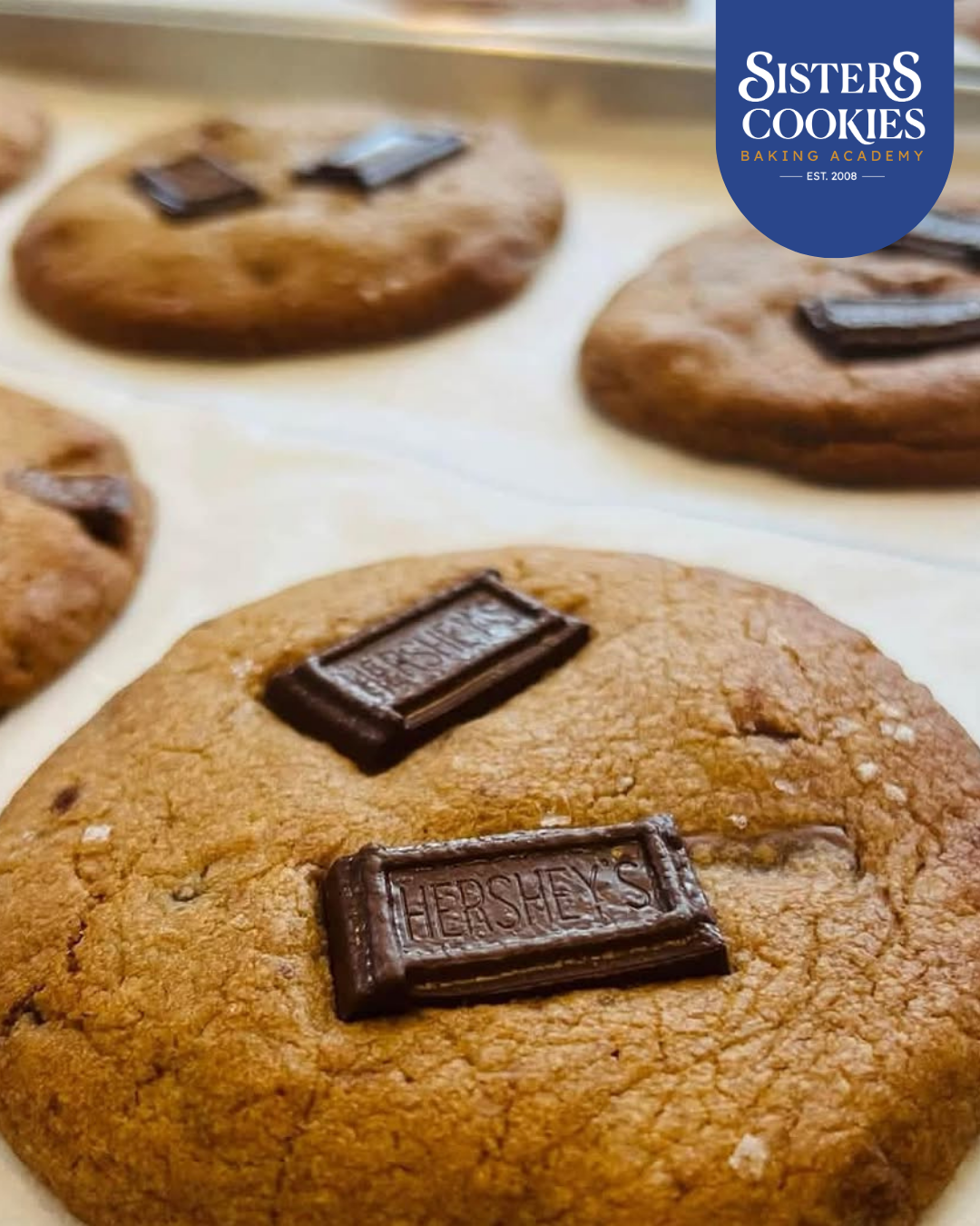 Marble Cake & Sea Salt Cookies