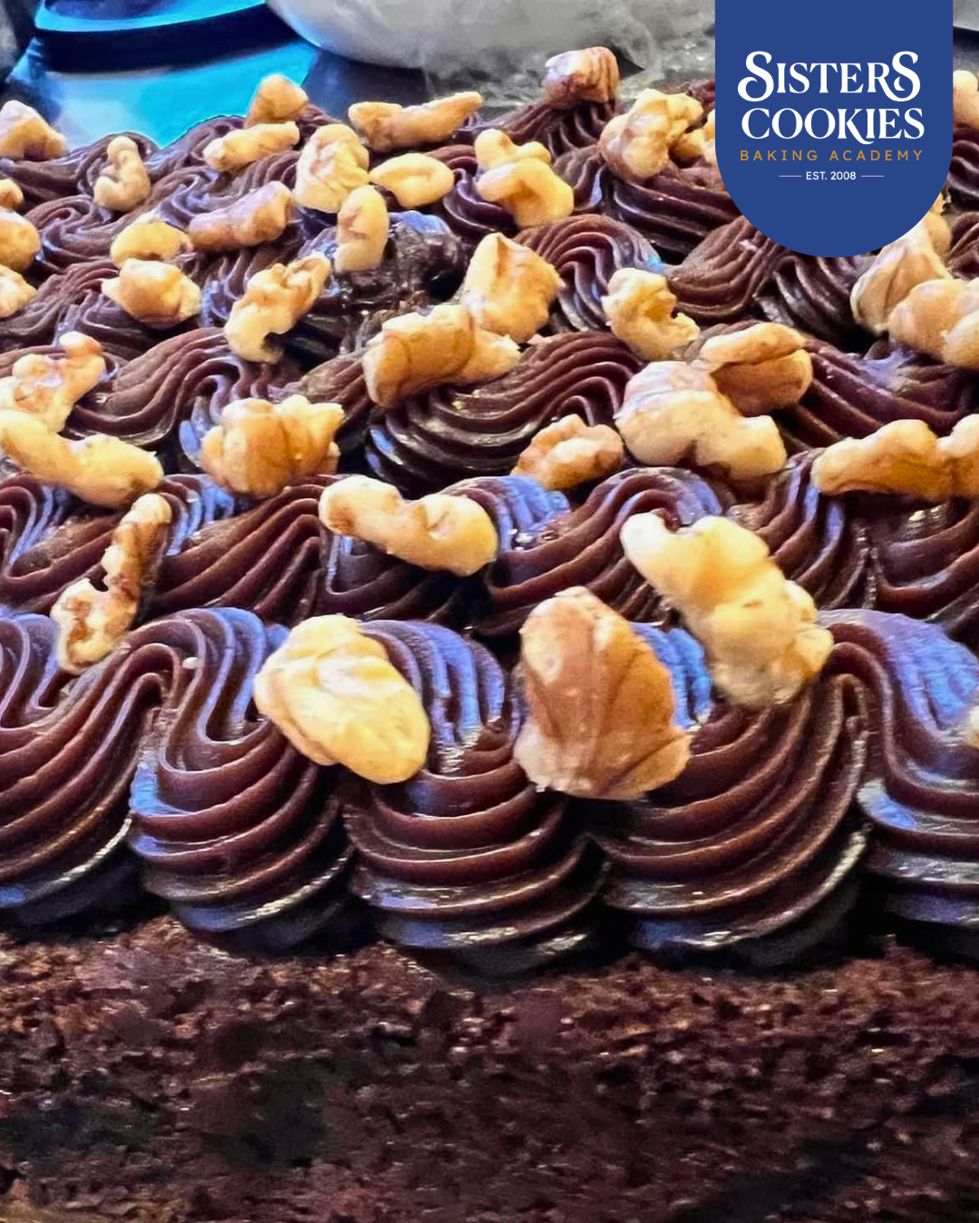 Premium Chocolate Brownies Galore
