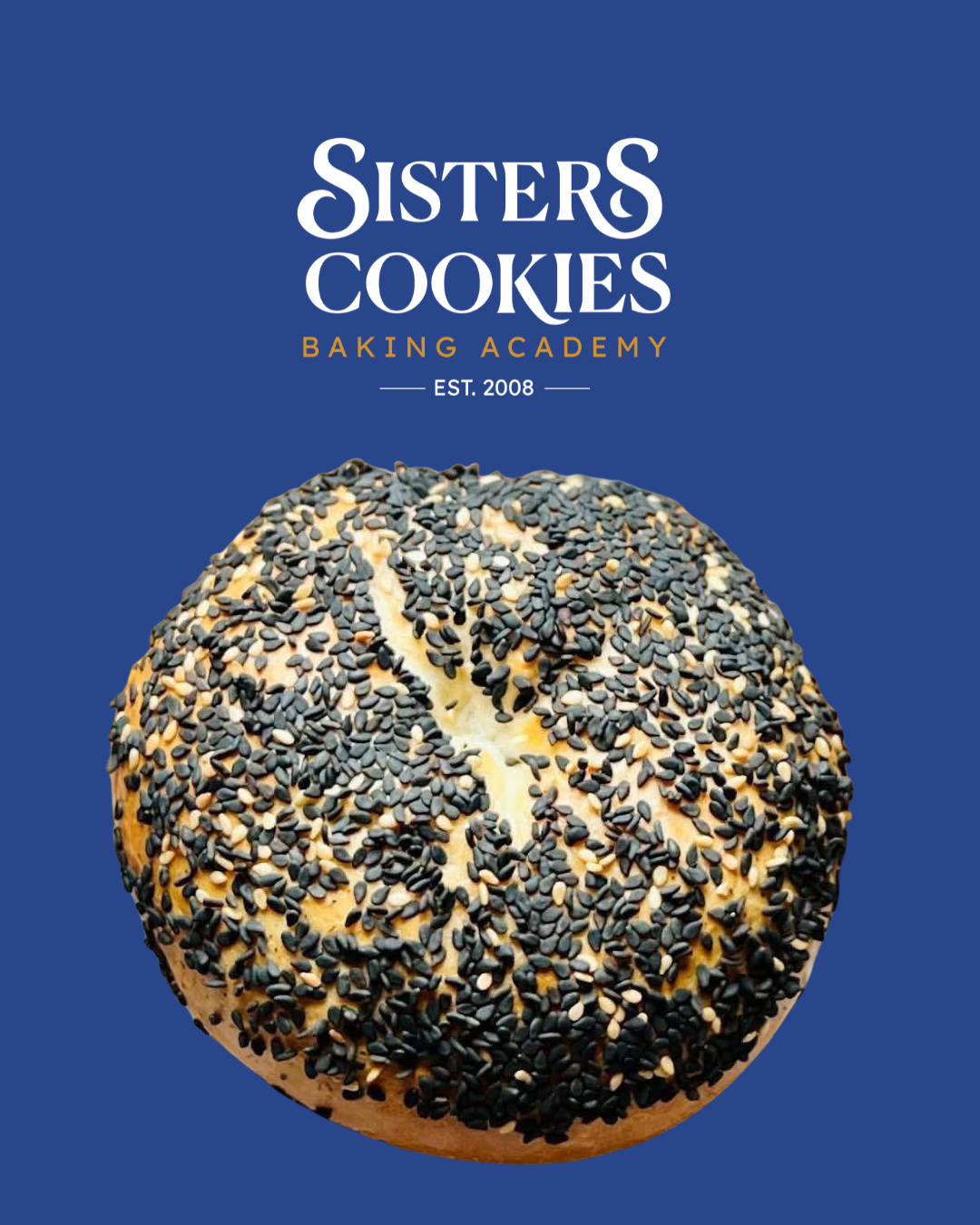 5 Premium Café-Style Bagels